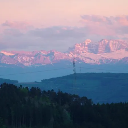 Gasthof Berghof *